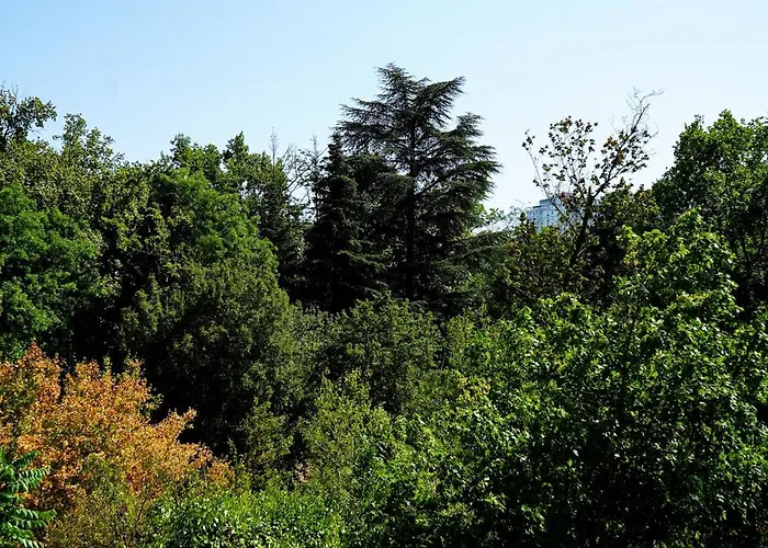 Greenwood Near Sea Апартаменти *